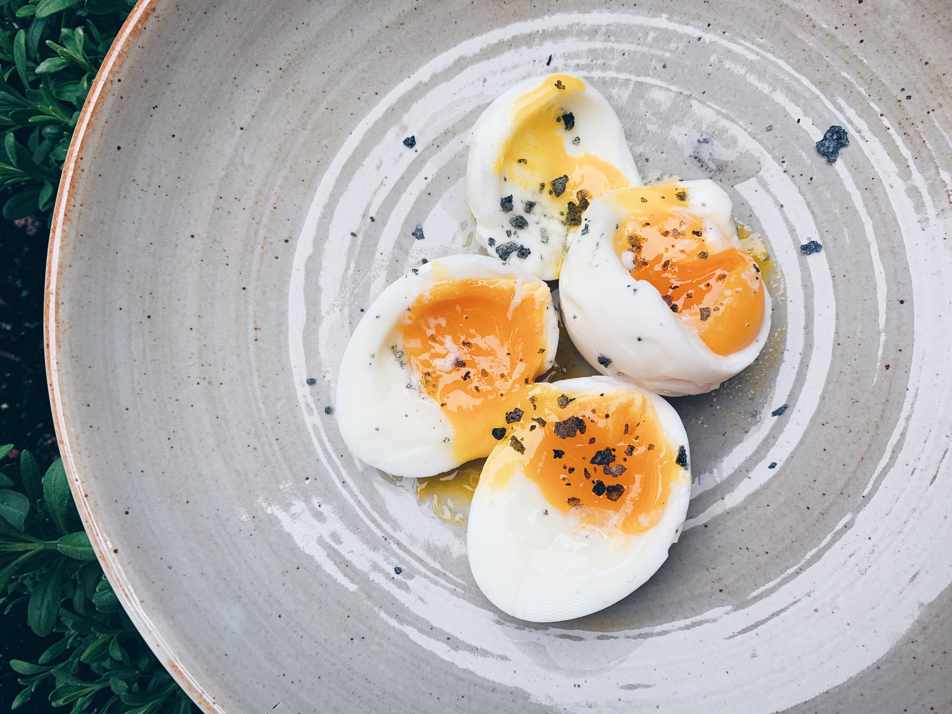 Jammy Eggs Writing With My Mouth Full